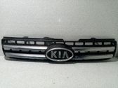 Rejilla delantera