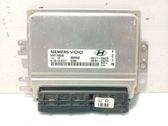 Engine control unit/module