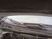 Front wiper blade arm