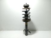 Amortiguador delantero con muelle espiral