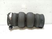 Muffler/silencer