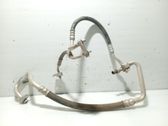 Coolant pipe/hose
