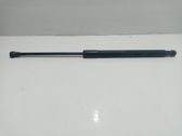 Amortiguador/puntal del maletero/compartimento de carga