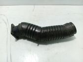 Schalldämpfer Auspuff