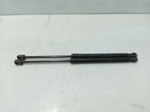 Tailgate/trunk strut/damper