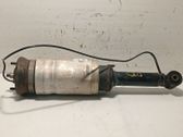 Front shock absorber with coil spring
