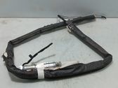 Airbag de la puerta delantera