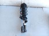 Front shock absorber with coil spring