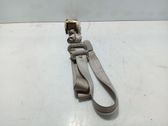 Cinturón trasero