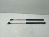 Tailgate/trunk strut/damper