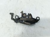 Tie down hook / loop