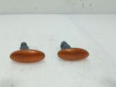 Front fender indicator light