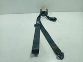 Rear seatbelt