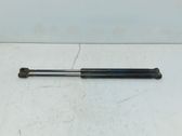 Tailgate/trunk strut/damper