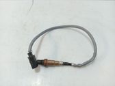 Sonde lambda