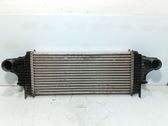 Intercooler radiator