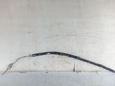 Front door airbag