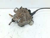 Tie down hook / loop