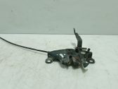 Tie down hook / loop