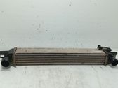 Intercooler radiator