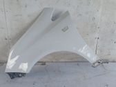Fender