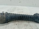 Manguera/tubo del radiador