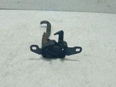Tie down hook / loop