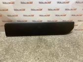 Rear door trim (molding)
