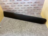 Front door trim (molding)