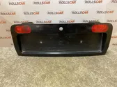 Trunk door license plate light bar