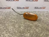 Front fender indicator light