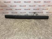 Trunk door license plate light bar