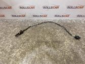 Exhaust gas temperature sensor