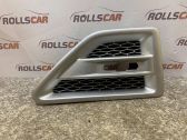 Grille d'aile