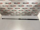 Front bonnet/hood damper/strut