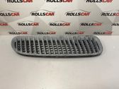 Bonnet/hood grill