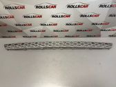 Front bumper lower grill