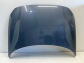 Motorhaube