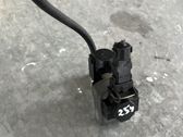 Faisceau de câblage pour moteur