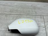 Kunststoffverkleidung Außenspiegel