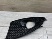 Front fog light trim/grill