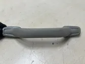 Front interior roof grab handle