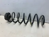 Rear coil spring