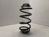 Rear coil spring