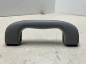 Front interior roof grab handle