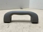 Front interior roof grab handle