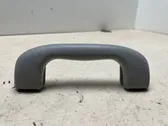 Front interior roof grab handle