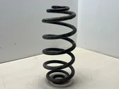 Rear coil spring