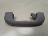 Front interior roof grab handle