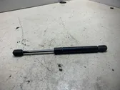 Tailgate/trunk strut/damper